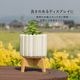 ヌノ ｜ 3号 4号 観葉植物 フェイクグリーン フラワーポッド プランター 植木鉢のサムネイル5