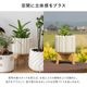 ヌノ ｜ 3号 4号 観葉植物 フェイクグリーン フラワーポッド プランター 植木鉢のサムネイル12