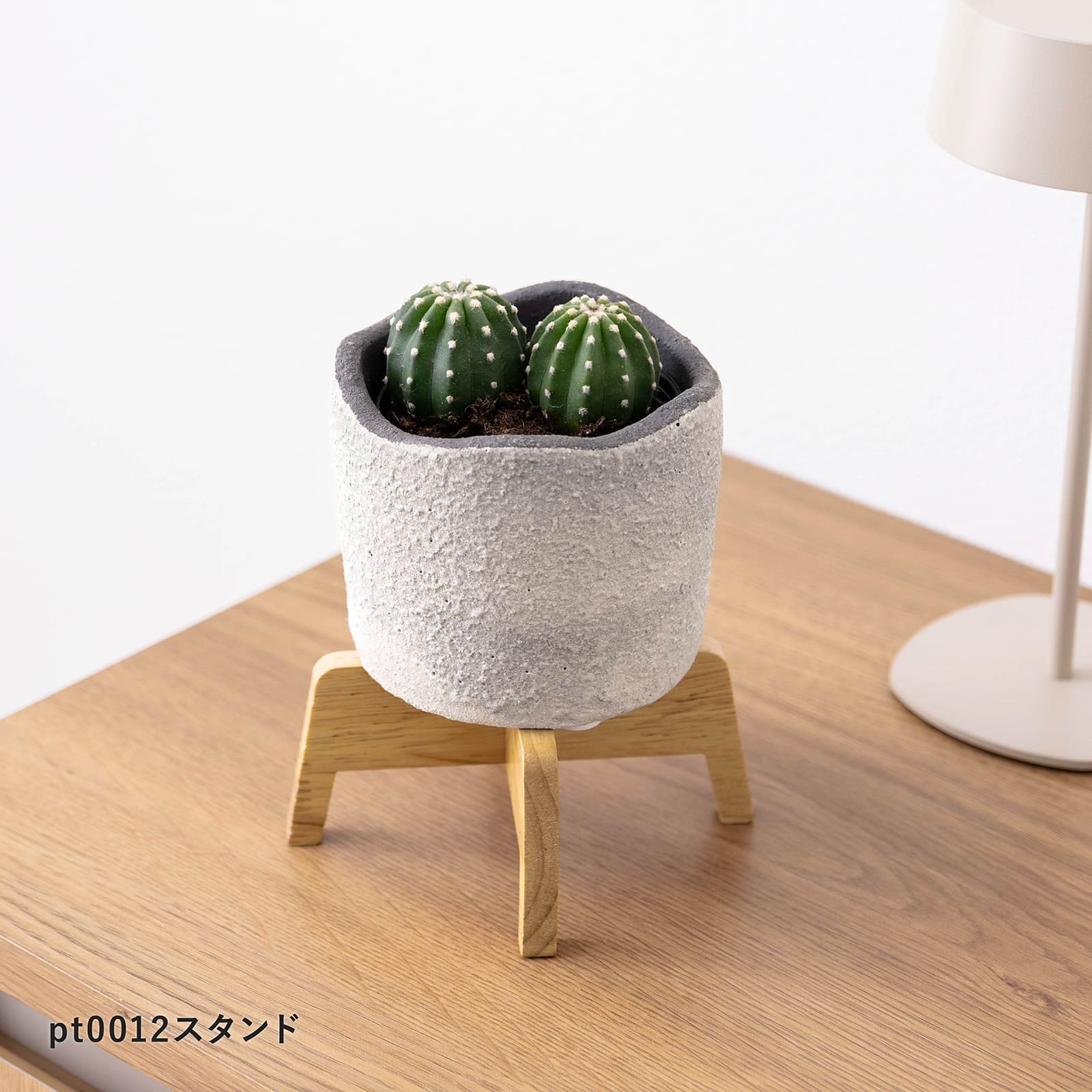 モロ ｜ 3号 観葉植物 フェイクグリーン フラワーポッド プランター 植木鉢