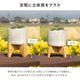 モロ ｜ 3号 観葉植物 フェイクグリーン フラワーポッド プランター 植木鉢のサムネイル12