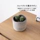 モロ ｜ 3号 観葉植物 フェイクグリーン フラワーポッド プランター 植木鉢のサムネイル3