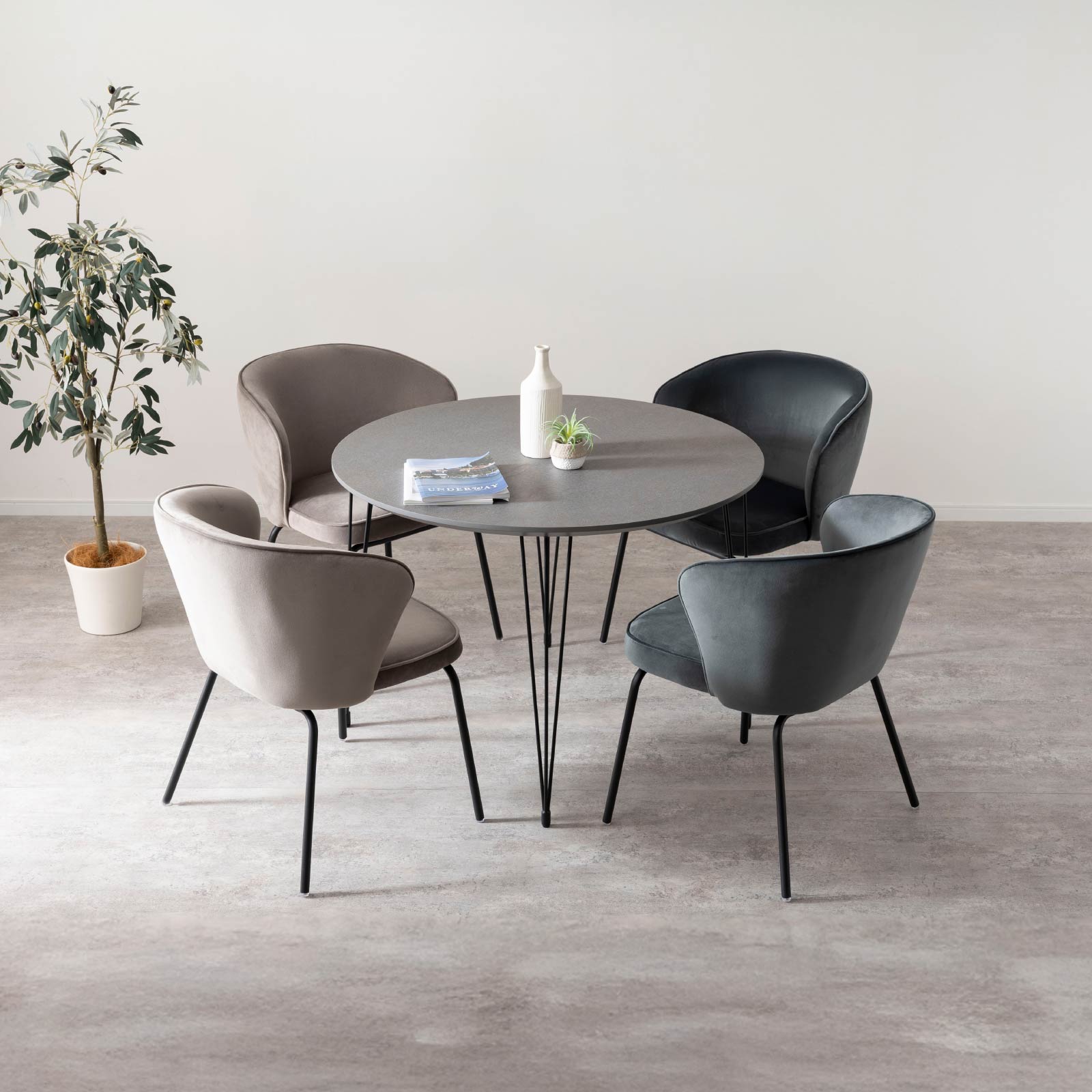 2脚セット】［座面高さ47］ サリーナ ｜ アイアン脚 モダン