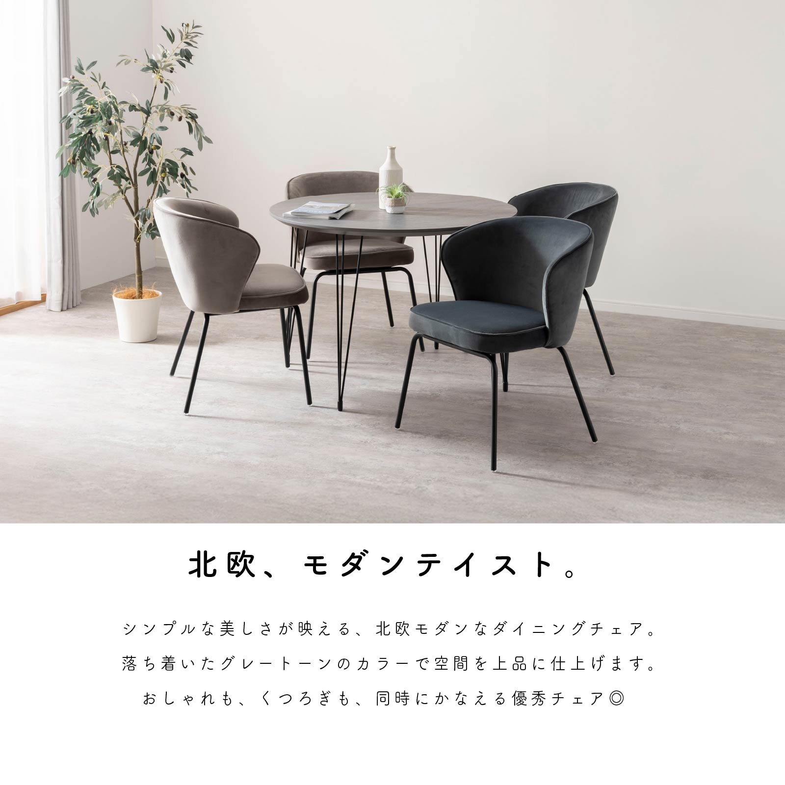 なーの　2脚セット 2脚セット】［座面高さ47］ サリーナ ｜ アイアン脚 モダン