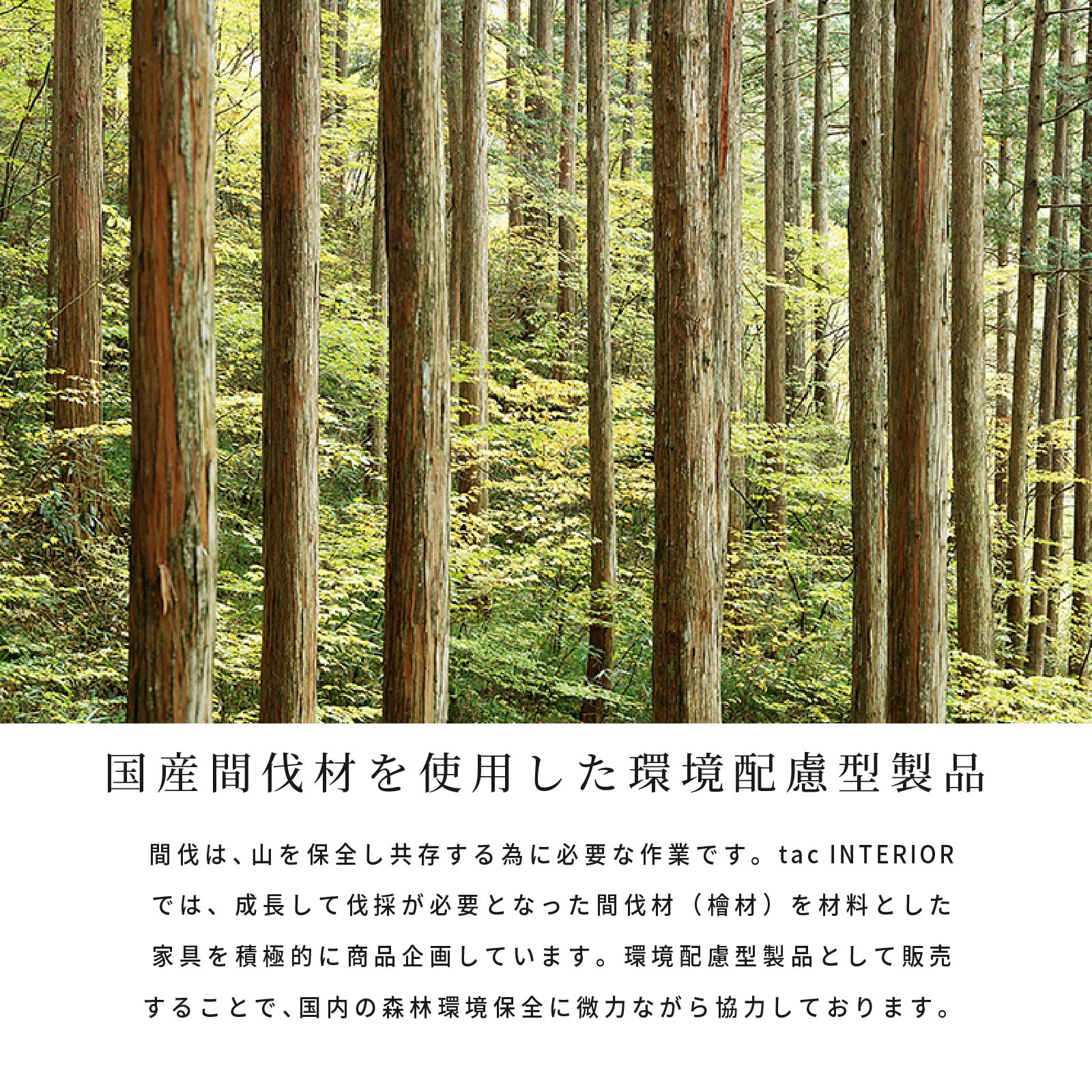 ［S/SD/D］ ムーラ ｜ ヒノキ ベッドフレーム すのこベッド 宮棚 ひのき無垢材 シングル セミダブル ダブル ベッド