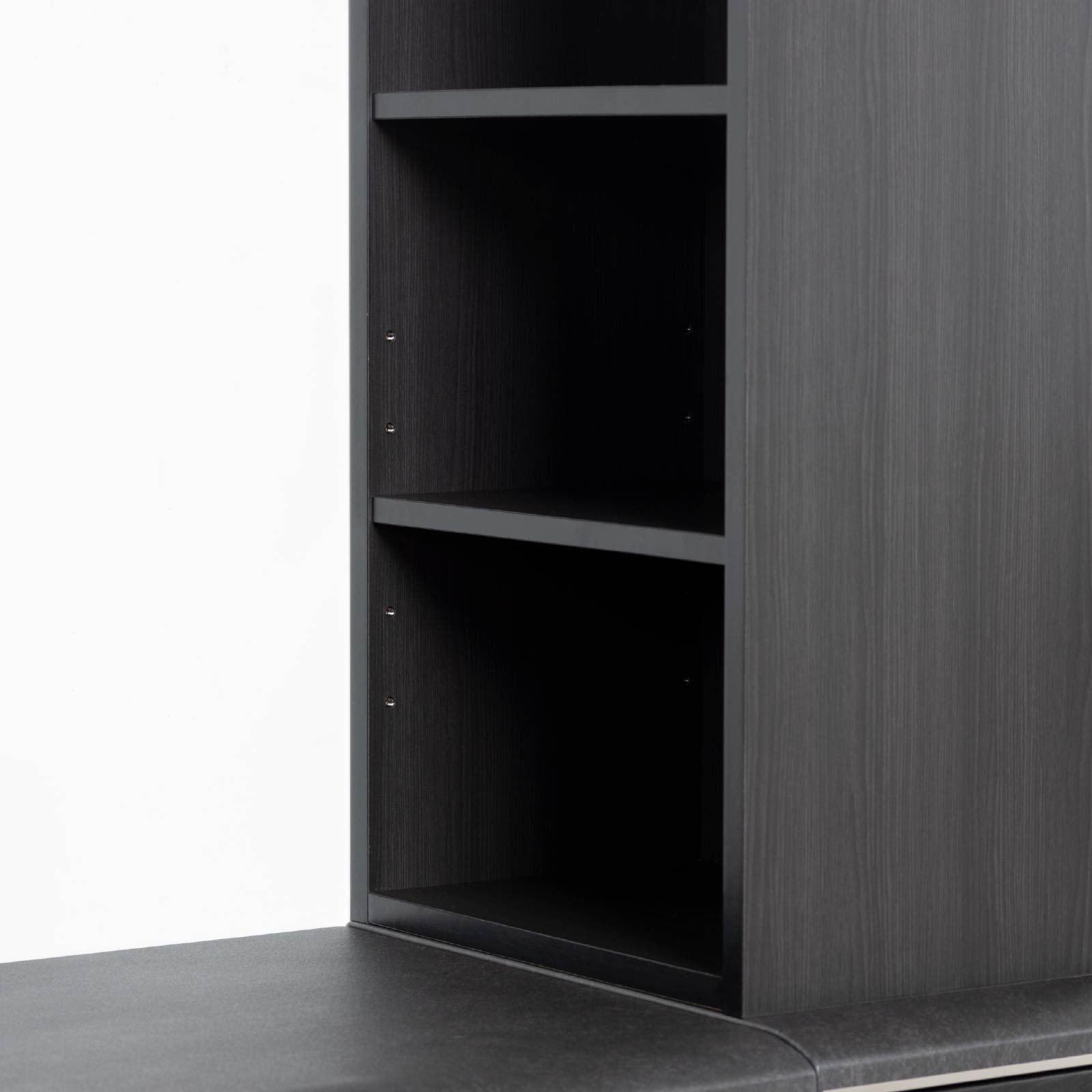 キャビネット　棚　収納家具 LOWYA（ロウヤ） 収納棚 おしゃれ カラーボックス 扉付き キャビネット