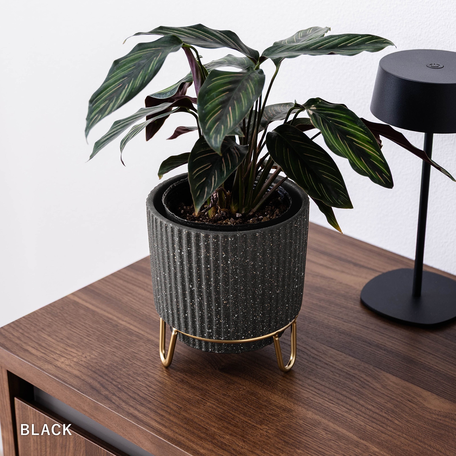 ルナ ｜ 4号 5号 観葉植物 フェイクグリーン フラワーポッド プランター 植木鉢 画像16