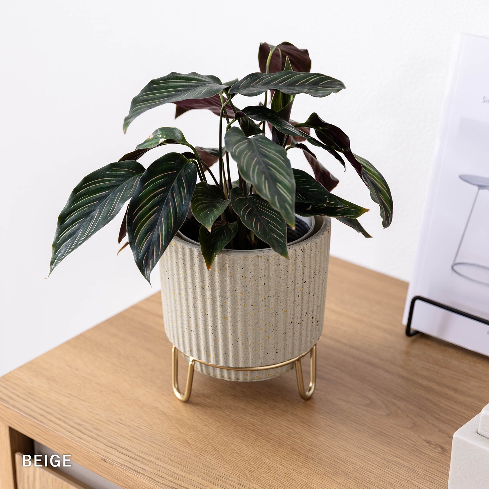 ルナ ｜ 4号 5号 観葉植物 フェイクグリーン フラワーポッド プランター 植木鉢 画像17