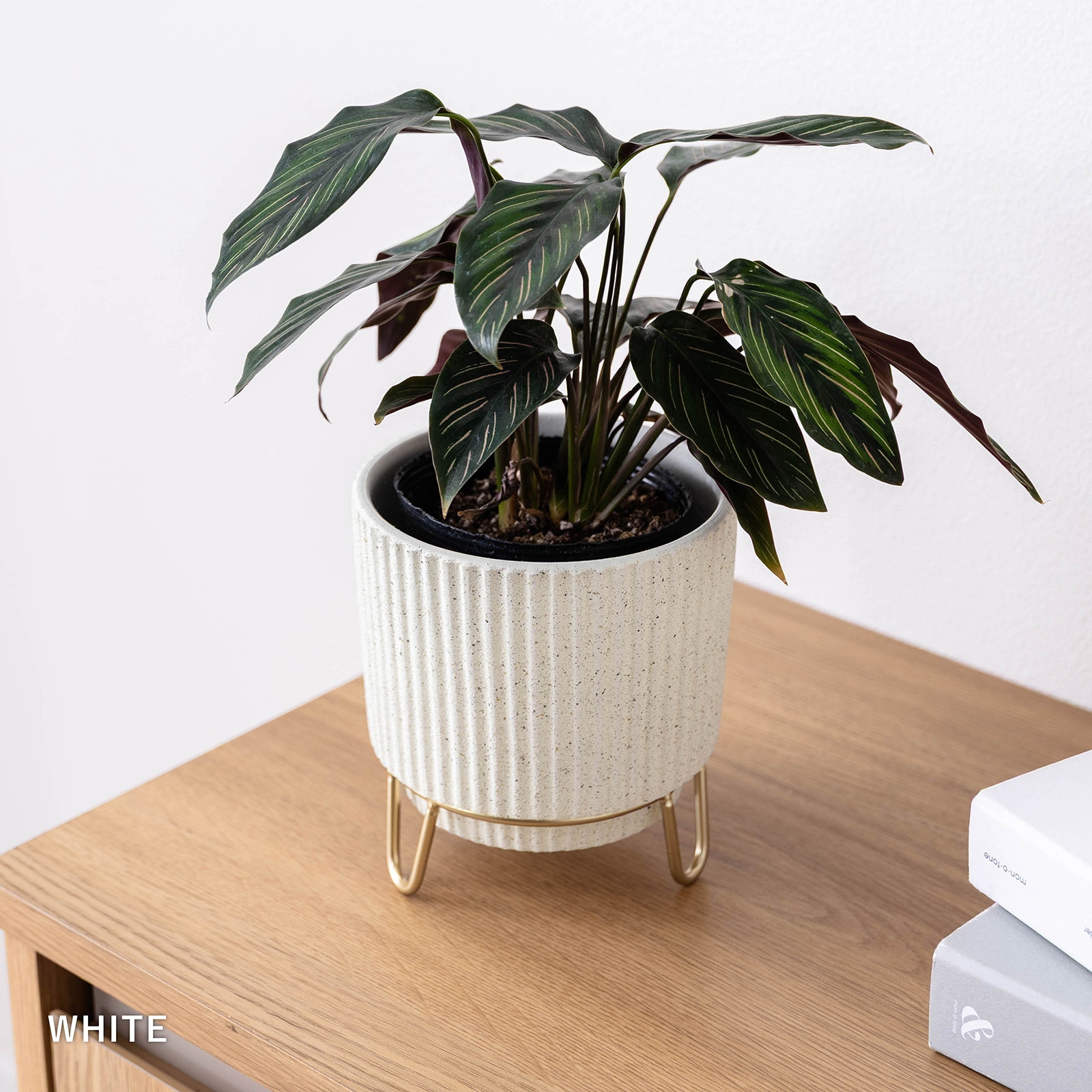 ルナ ｜ 4号 5号 観葉植物 フェイクグリーン フラワーポッド プランター 植木鉢 画像18