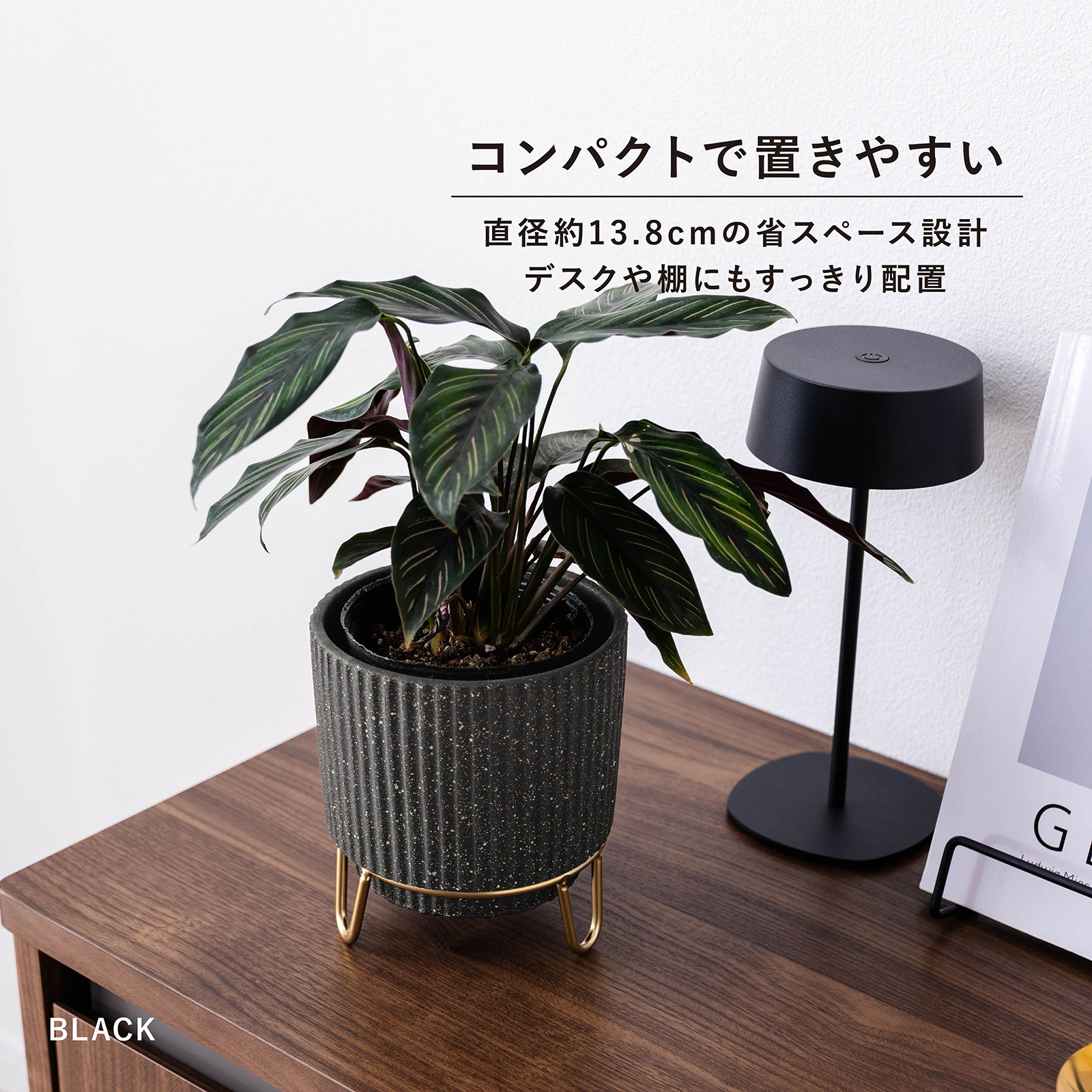 ルナ ｜ 4号 5号 観葉植物 フェイクグリーン フラワーポッド プランター 植木鉢 画像3
