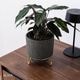 ルナ ｜ 4号 5号 観葉植物 フェイクグリーン フラワーポッド プランター 植木鉢のサムネイル16