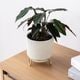 ルナ ｜ 4号 5号 観葉植物 フェイクグリーン フラワーポッド プランター 植木鉢のサムネイル18