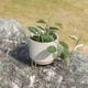 ルナ ｜ 4号 5号 観葉植物 フェイクグリーン フラワーポッド プランター 植木鉢のサムネイル19