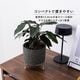 ルナ ｜ 4号 5号 観葉植物 フェイクグリーン フラワーポッド プランター 植木鉢のサムネイル3