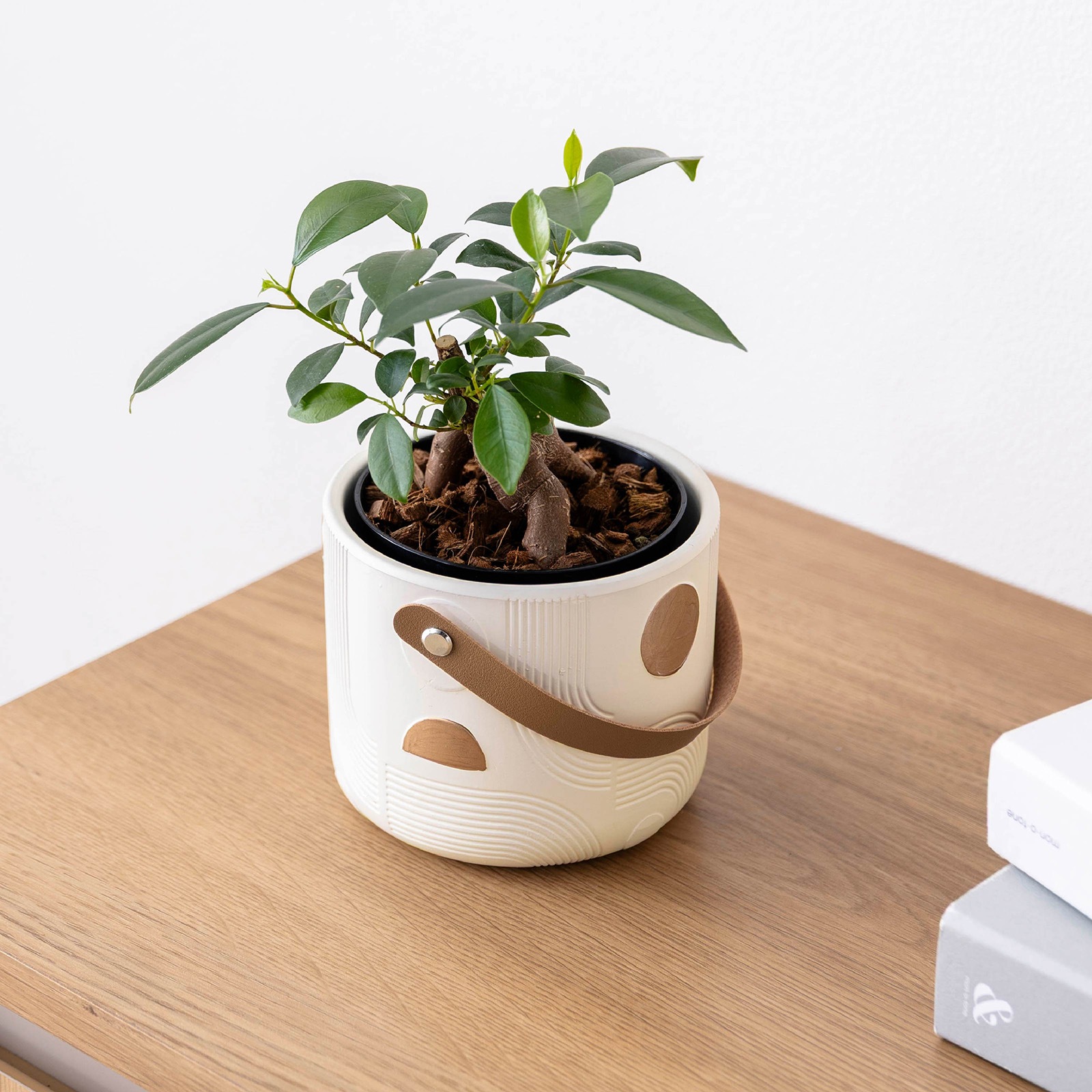 オーレ ｜ 3号 4号 観葉植物 フェイクグリーン フラワーポッド プランター 植木鉢 画像17
