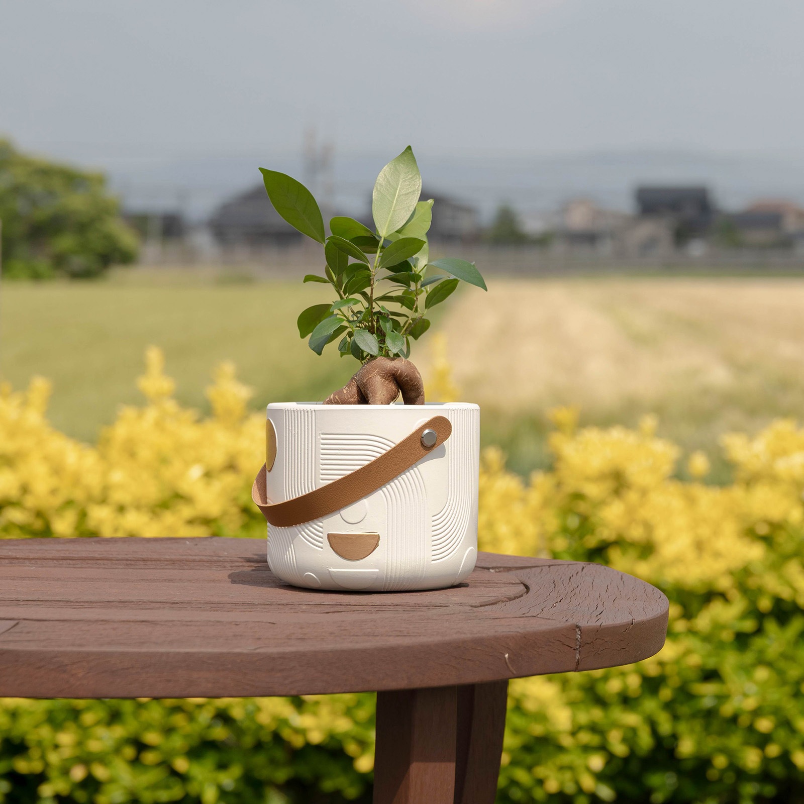 オーレ ｜ 3号 4号 観葉植物 フェイクグリーン フラワーポッド プランター 植木鉢 画像20