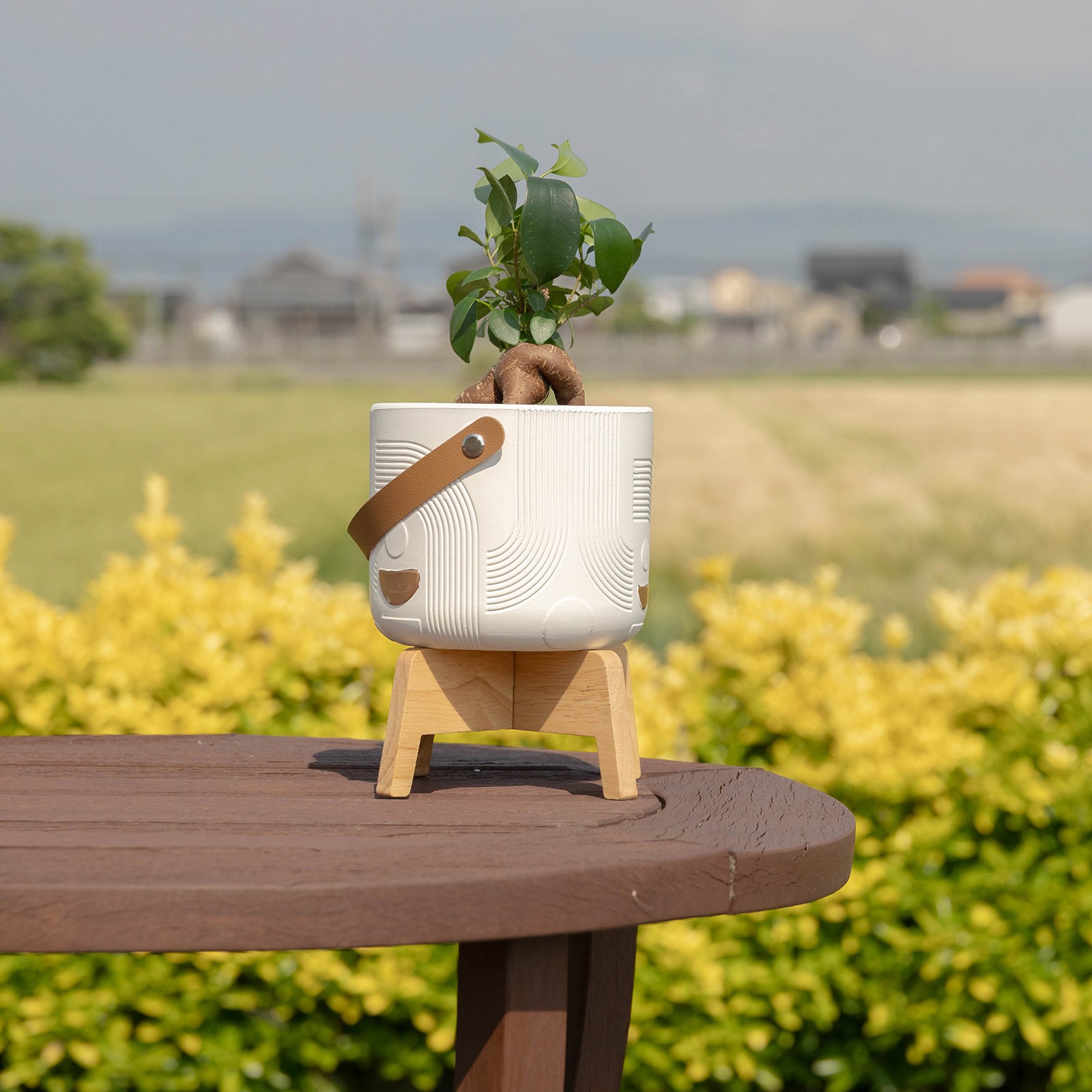 オーレ ｜ 3号 4号 観葉植物 フェイクグリーン フラワーポッド プランター 植木鉢 画像21