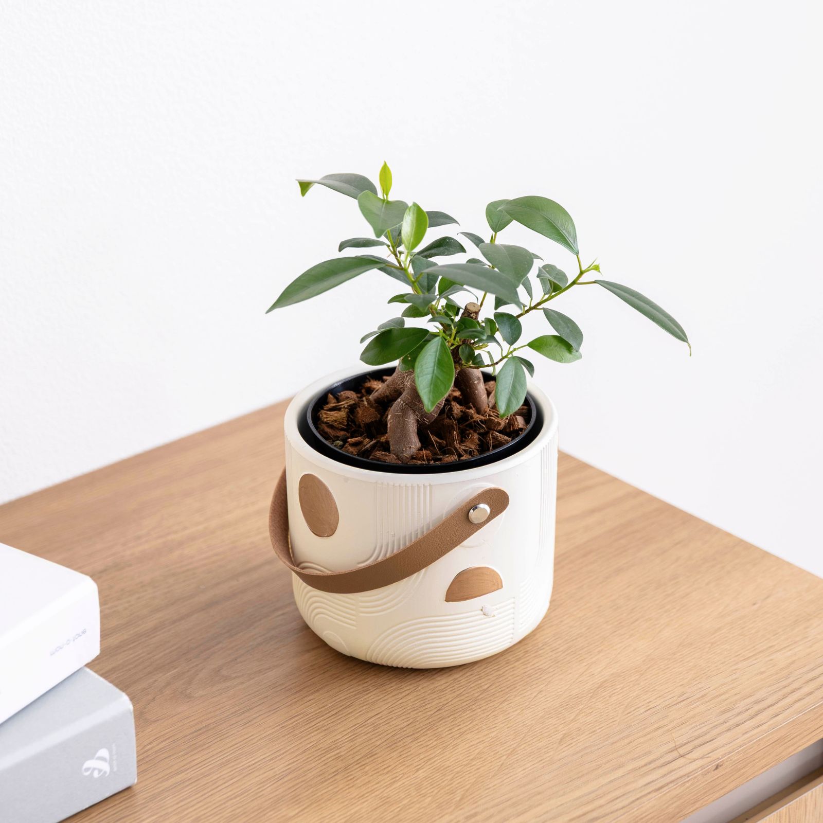 オーレ ｜ 3号 4号 観葉植物 フェイクグリーン フラワーポッド プランター 植木鉢 画像1