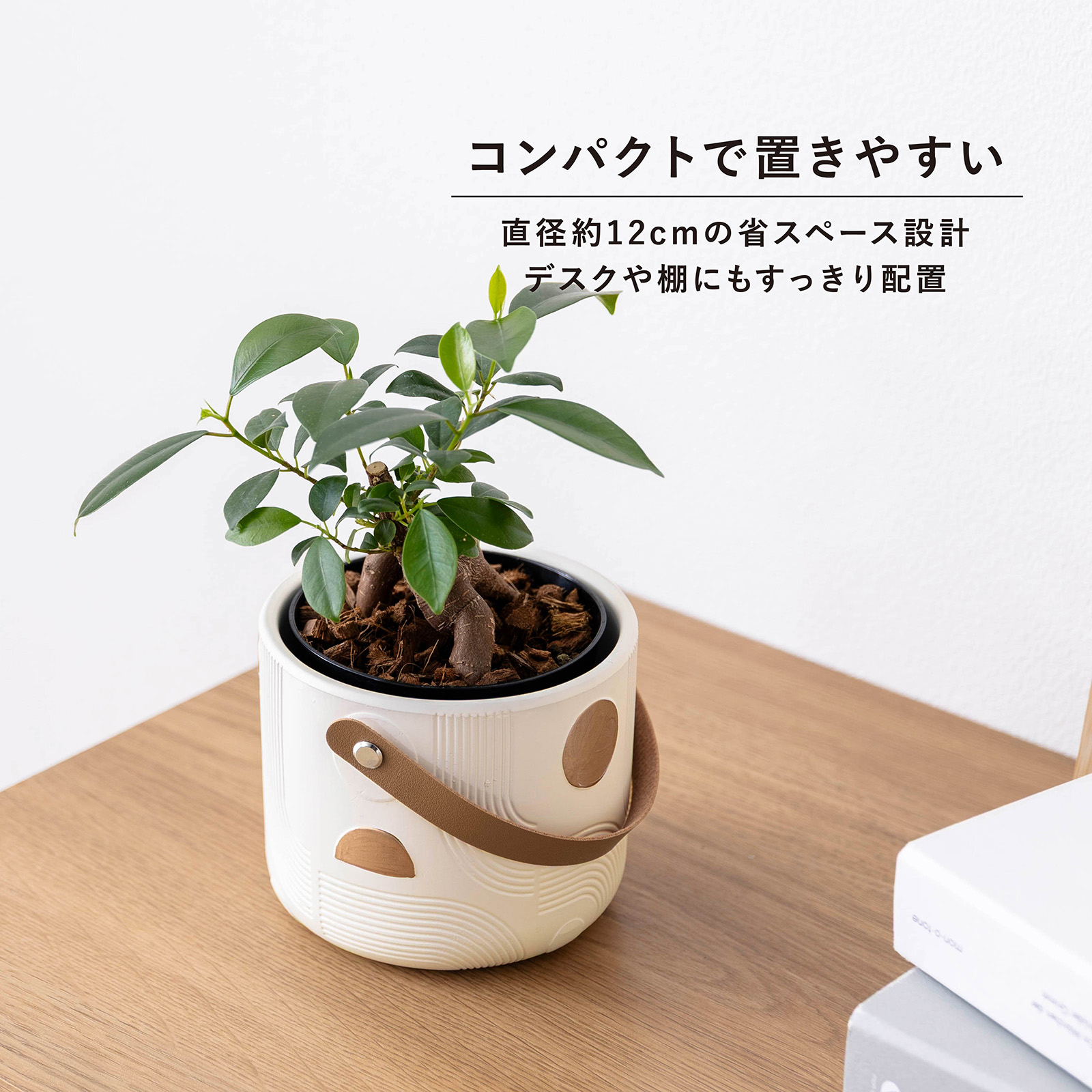 オーレ ｜ 3号 4号 観葉植物 フェイクグリーン フラワーポッド プランター 植木鉢 画像4