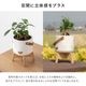オーレ ｜ 3号 4号 観葉植物 フェイクグリーン フラワーポッド プランター 植木鉢のサムネイル12
