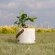 オーレ ｜ 3号 4号 観葉植物 フェイクグリーン フラワーポッド プランター 植木鉢のサムネイル19