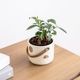 オーレ ｜ 3号 4号 観葉植物 フェイクグリーン フラワーポッド プランター 植木鉢のサムネイル1