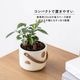 オーレ ｜ 3号 4号 観葉植物 フェイクグリーン フラワーポッド プランター 植木鉢のサムネイル4