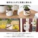 オーレ ｜ 3号 4号 観葉植物 フェイクグリーン フラワーポッド プランター 植木鉢のサムネイル9