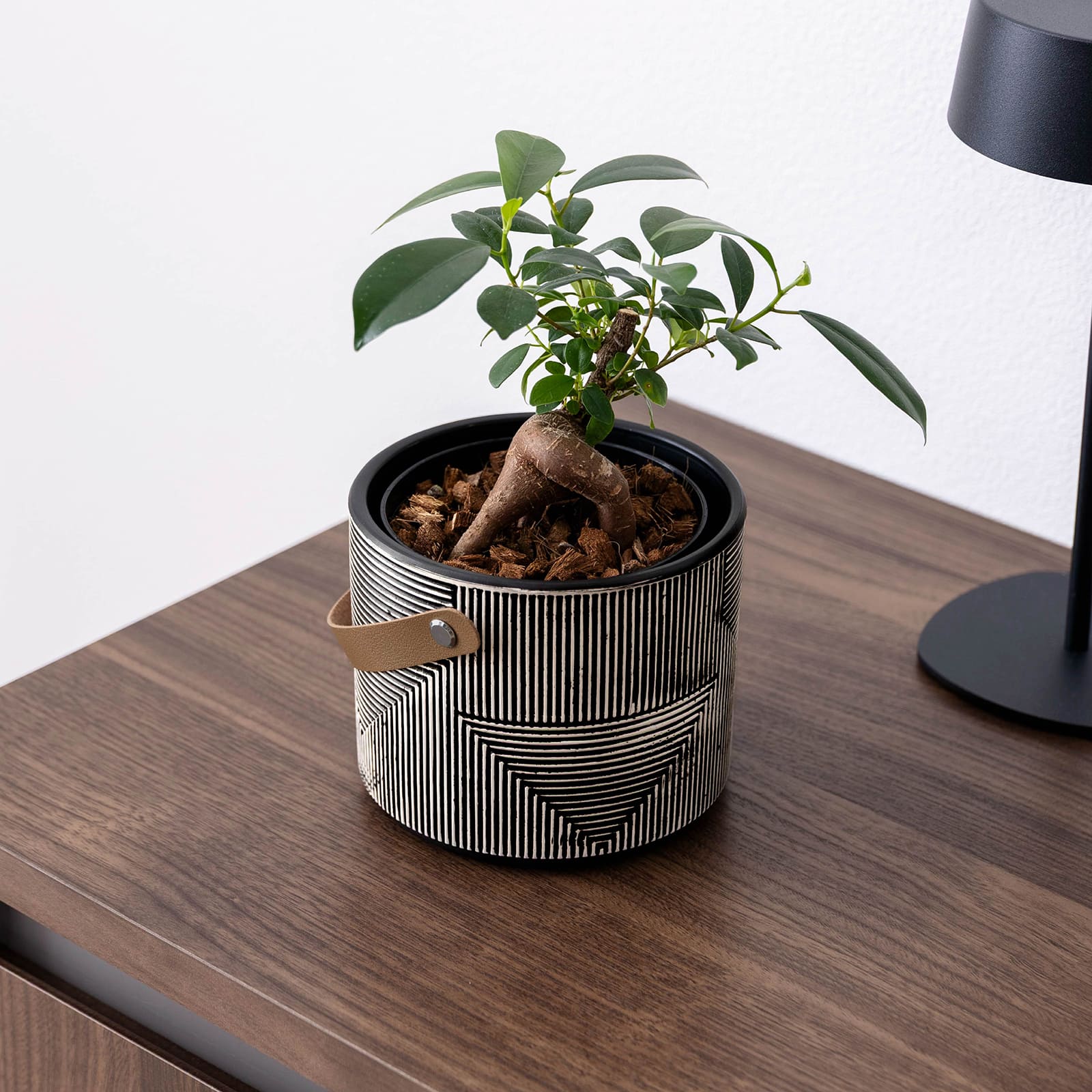 カロ ｜ 3号 4号 観葉植物 フェイクグリーン フラワーポッド プランター 植木鉢 画像17