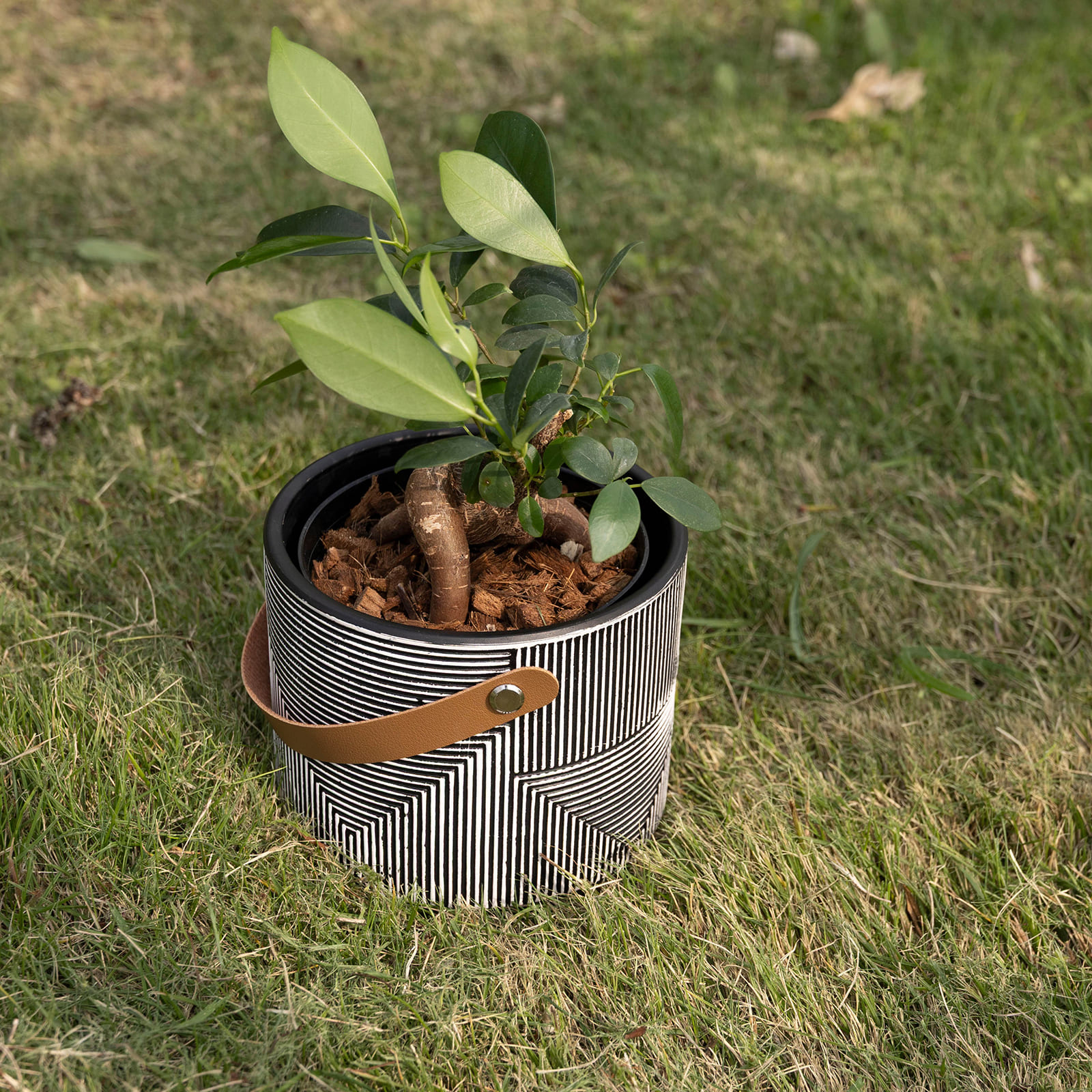 カロ ｜ 3号 4号 観葉植物 フェイクグリーン フラワーポッド プランター 植木鉢 画像19