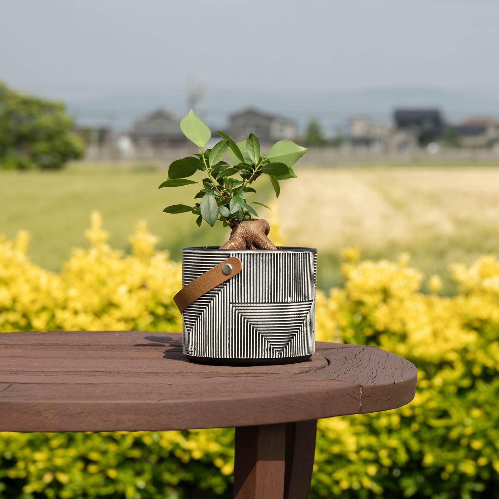 カロ ｜ 3号 4号 観葉植物 フェイクグリーン フラワーポッド プランター 植木鉢 画像20