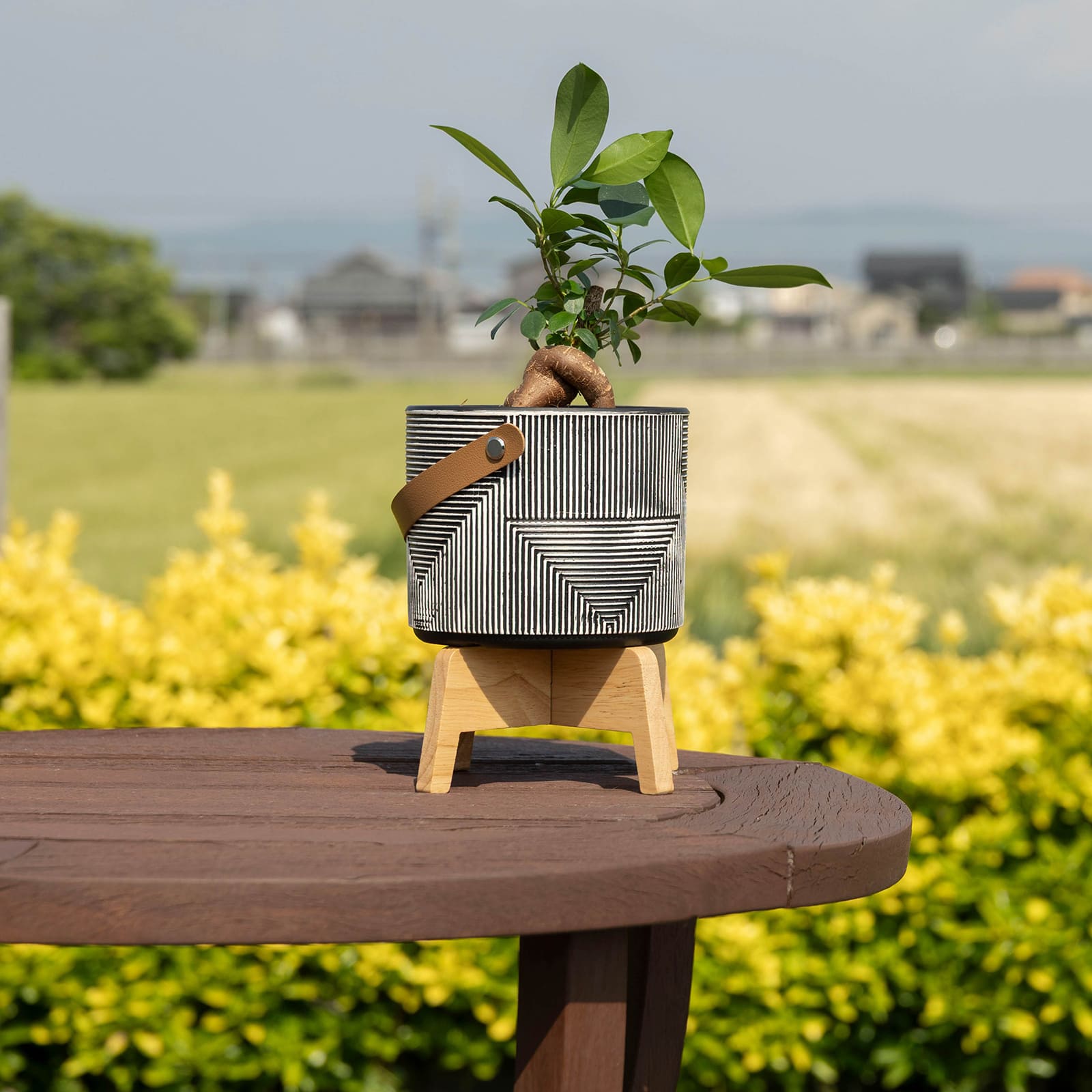 カロ ｜ 3号 4号 観葉植物 フェイクグリーン フラワーポッド プランター 植木鉢 画像21