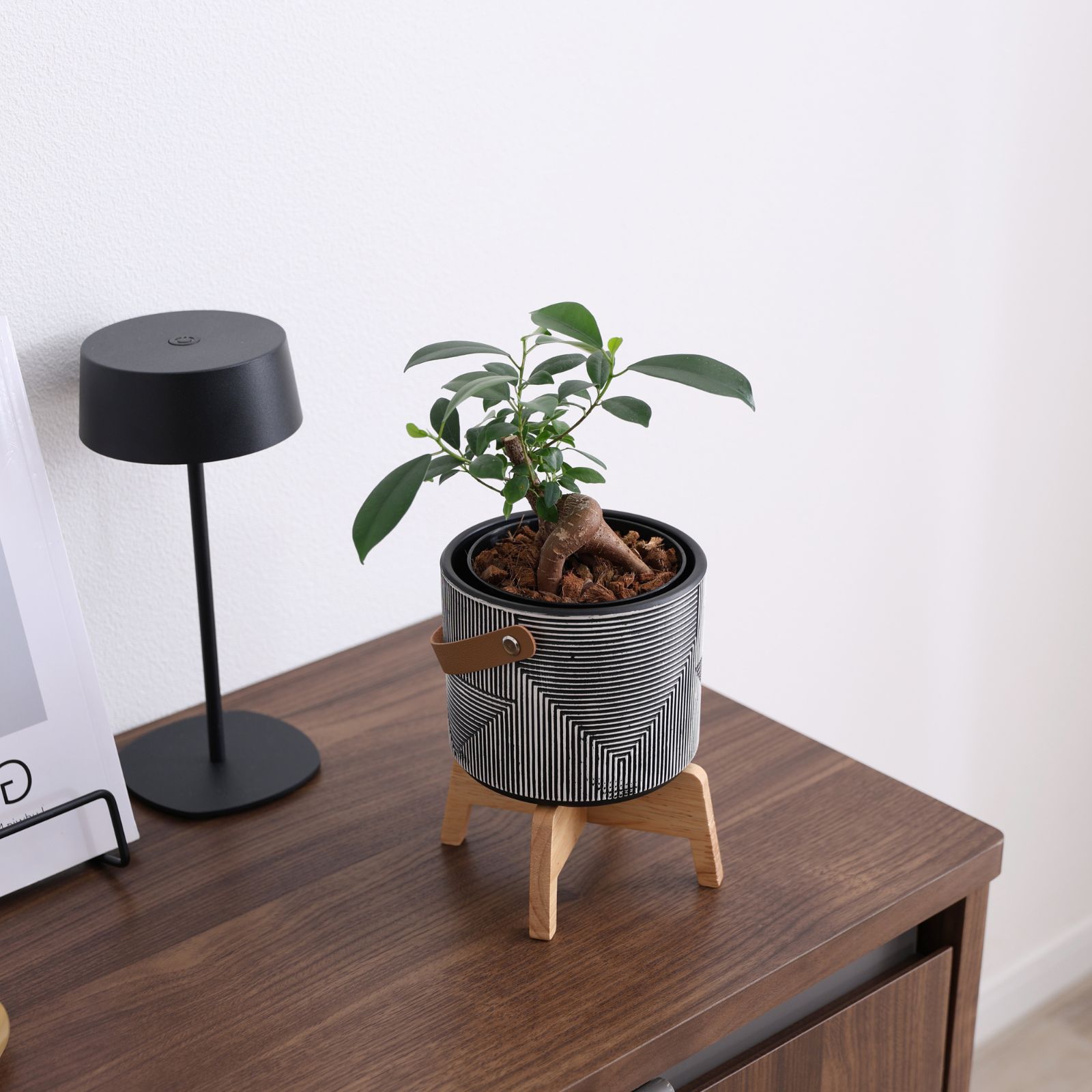 カロ ｜ 3号 4号 観葉植物 フェイクグリーン フラワーポッド プランター 植木鉢 画像1
