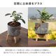 カロ ｜ 3号 4号 観葉植物 フェイクグリーン フラワーポッド プランター 植木鉢のサムネイル12