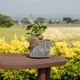 カロ ｜ 3号 4号 観葉植物 フェイクグリーン フラワーポッド プランター 植木鉢のサムネイル20
