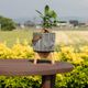 カロ ｜ 3号 4号 観葉植物 フェイクグリーン フラワーポッド プランター 植木鉢のサムネイル21