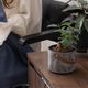 カロ ｜ 3号 4号 観葉植物 フェイクグリーン フラワーポッド プランター 植木鉢のサムネイル23