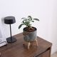 カロ ｜ 3号 4号 観葉植物 フェイクグリーン フラワーポッド プランター 植木鉢のサムネイル1