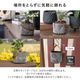 カロ ｜ 3号 4号 観葉植物 フェイクグリーン フラワーポッド プランター 植木鉢のサムネイル9