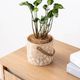 リーフィ ｜ 4号 観葉植物 フェイクグリーン フラワーポッド プランター 植木鉢のサムネイル17