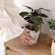 リーフィ ｜ 4号 観葉植物 フェイクグリーン フラワーポッド プランター 植木鉢のサムネイル21
