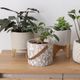 リーフィ ｜ 4号 観葉植物 フェイクグリーン フラワーポッド プランター 植木鉢のサムネイル22