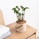 リーフィ ｜ 4号 観葉植物 フェイクグリーン フラワーポッド プランター 植木鉢のサムネイル1