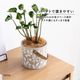 リーフィ ｜ 4号 観葉植物 フェイクグリーン フラワーポッド プランター 植木鉢のサムネイル4