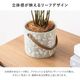 リーフィ ｜ 4号 観葉植物 フェイクグリーン フラワーポッド プランター 植木鉢のサムネイル7