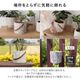 リーフィ ｜ 4号 観葉植物 フェイクグリーン フラワーポッド プランター 植木鉢のサムネイル9