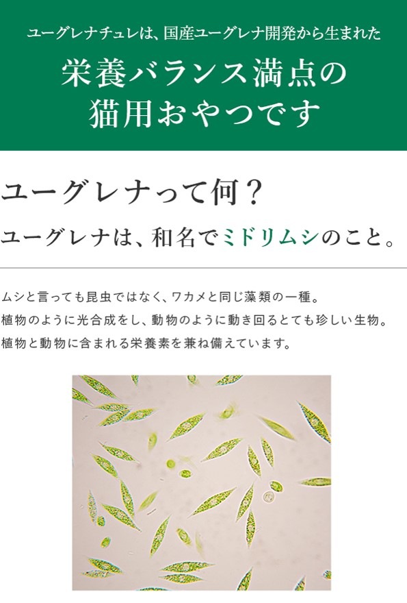 【送料込】猫用おやつ(ﾏｸﾞﾛ味)　（10g×10本）2袋ｾｯﾄ