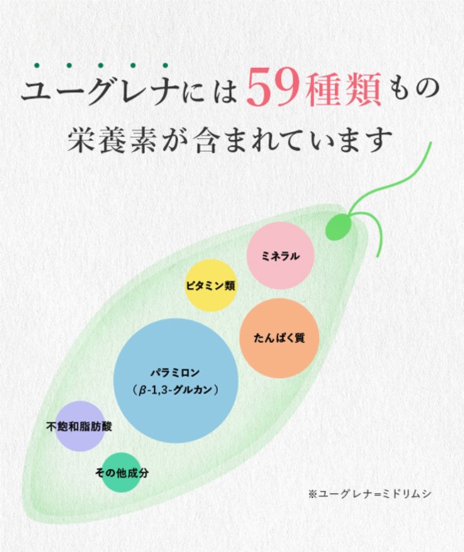 【送料込】猫用おやつ(ﾏｸﾞﾛ味)　（10g×10本）2袋ｾｯﾄ