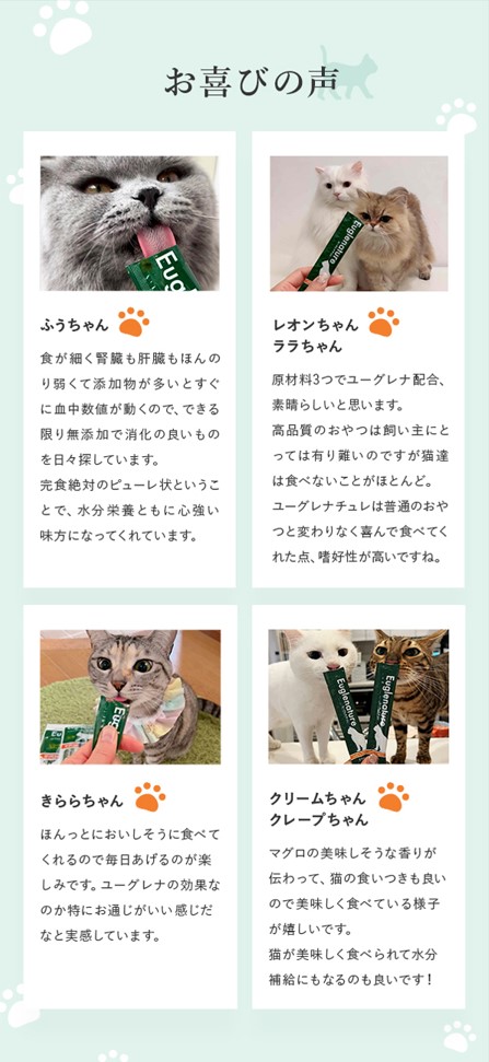 【送料込】猫用おやつ(ﾏｸﾞﾛ味)　（10g×10本）2袋ｾｯﾄ