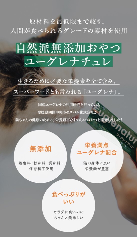 【送料込】おためし猫用おやつ(ﾏｸﾞﾛ味)　（10g×4本）（ｸﾘｯｸﾎﾟｽﾄ）