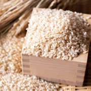 〔赤とんぼ〕特別栽培コシヒカリ10kg(玄米)_s20